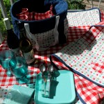 Use Miss Polka Dance old Lace/Barn Red for pockets and wine bottle holders on picnic tote.
