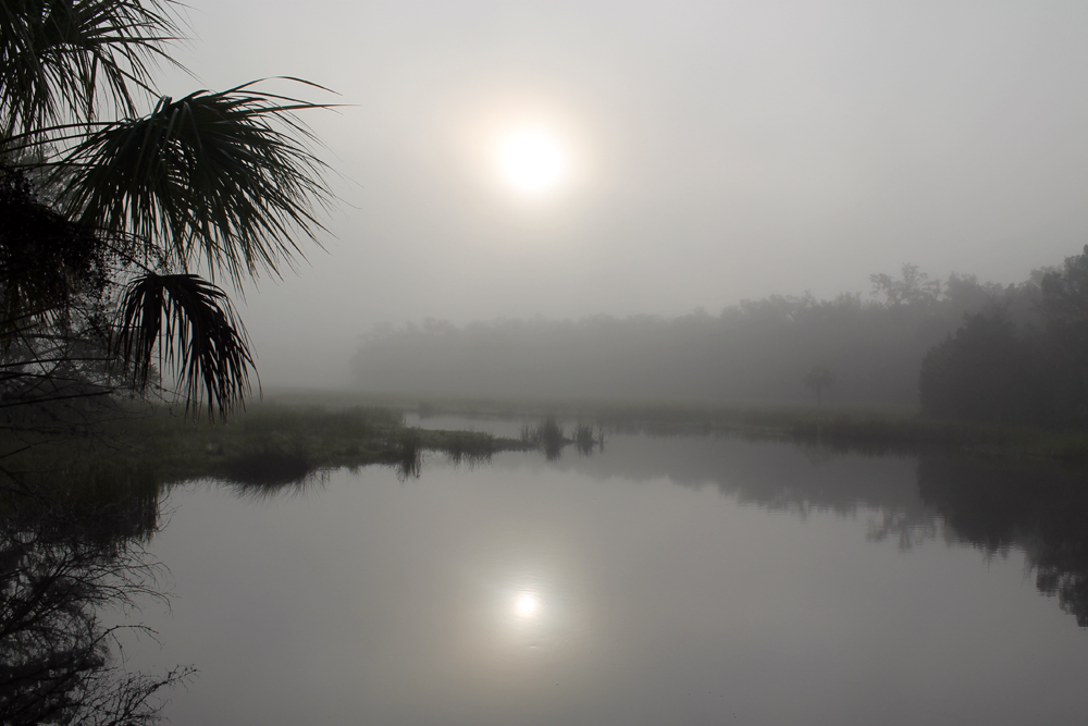 Foggy Morning at Mason Creek
