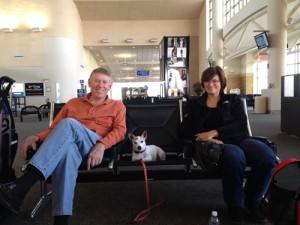Travel Dog Blog