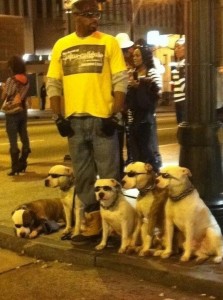 dogs in the hood