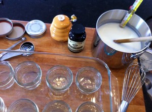Adventures in the Kitchen with Michelle, Make your own Yogurt!