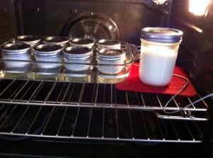 Adventures in the Kitchen with Michelle, Make your own Yogurt!