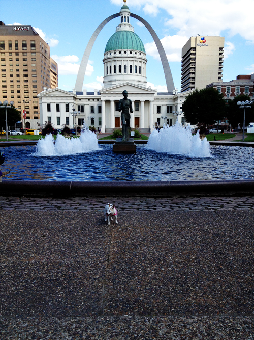 Travel Dog Blog, St Louis