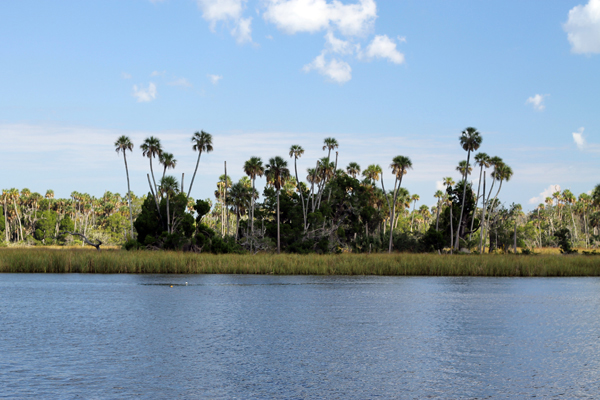 View from Ft. Island Trail, The other side of Crystal River