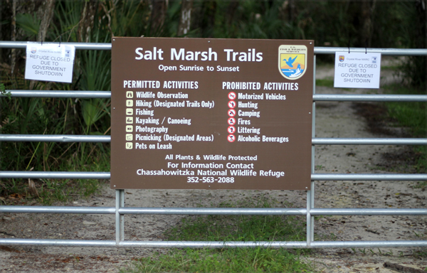 Salt Marsh Trails