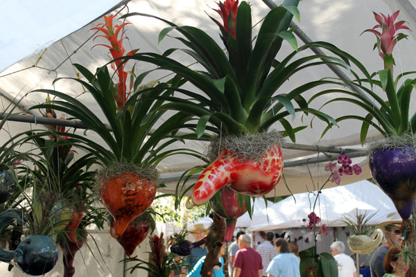 Bromeliads at 2013 Homosassa Seafood, Art, and Crafts Festival