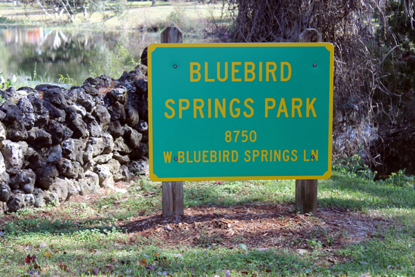 Bluebird Springs Park