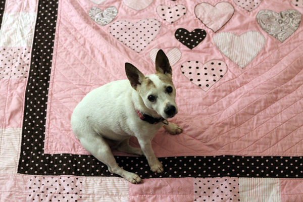A Quilt for Piper
