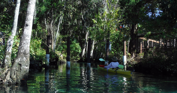 Kayaking Three Sisters Springs