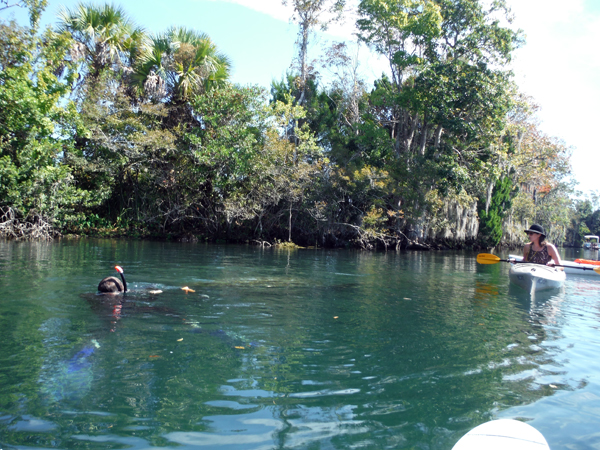 Kayaking Three Sisters Springs