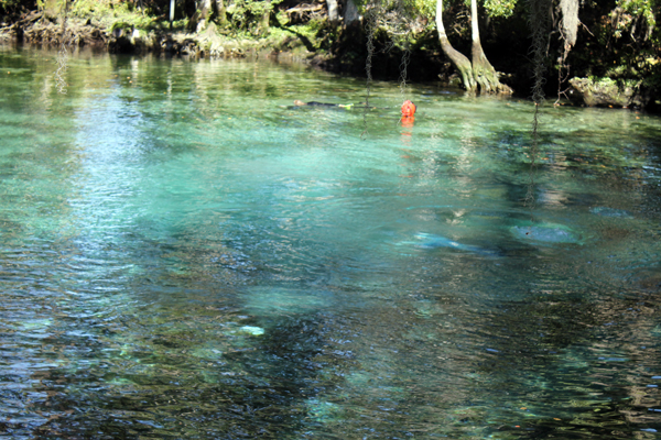 National Wildlife Refuge Day at Three Sisters Springs