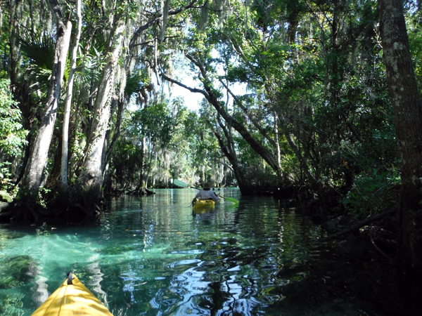 Kayaking Three Sisters Springs