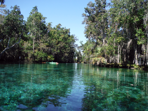 Kayaking Three Sisters Springs