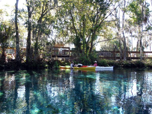 Kayaking Three Sisters Springs