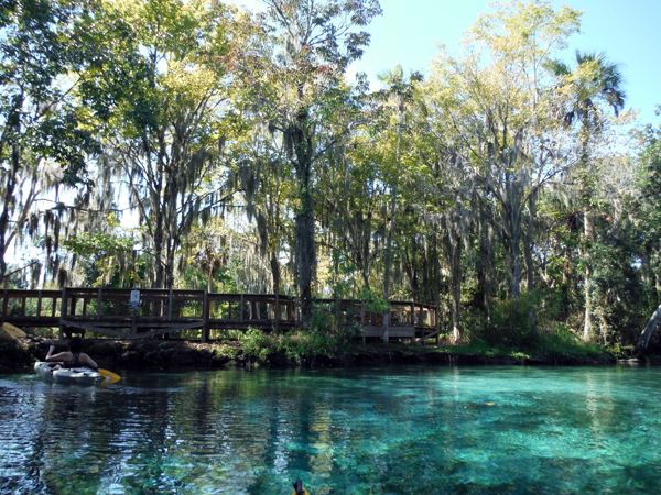 Kayaking Three Sisters Springs