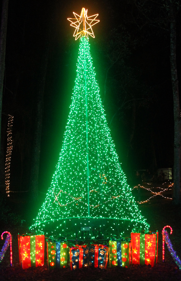 2014 Ellie Schiller Homosassa Springs Wildlife State Park’s Christmas Celebration of Lights