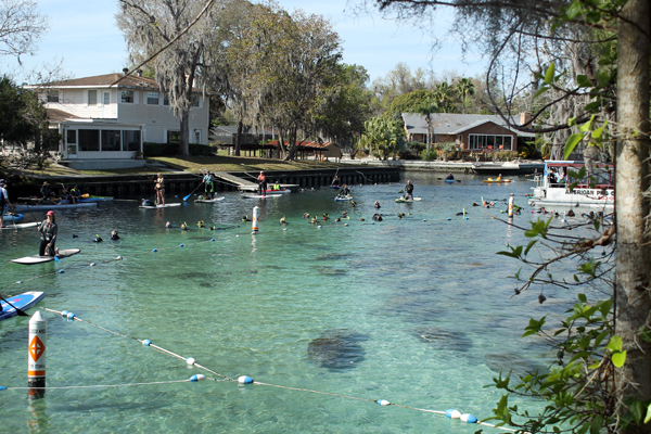 Three Sisters Springs Open House