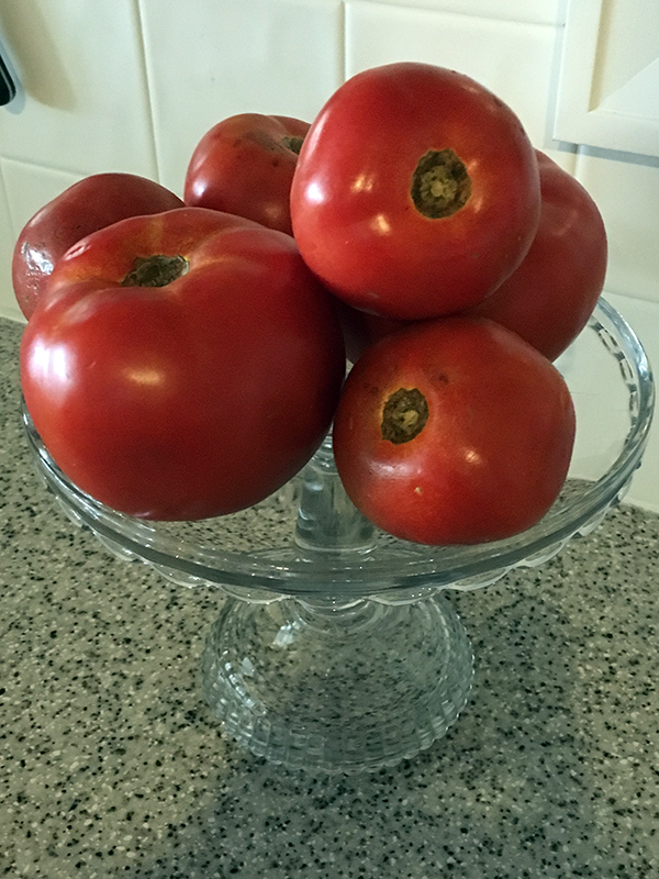 tomatoses