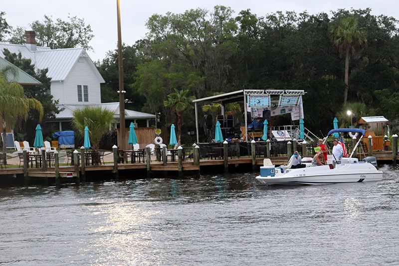 cobia tournament