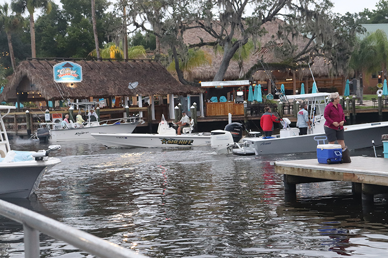 cobia tournament