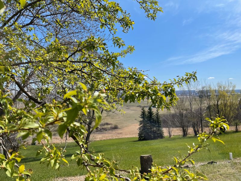 may 1, 2025, the view Happy May Day