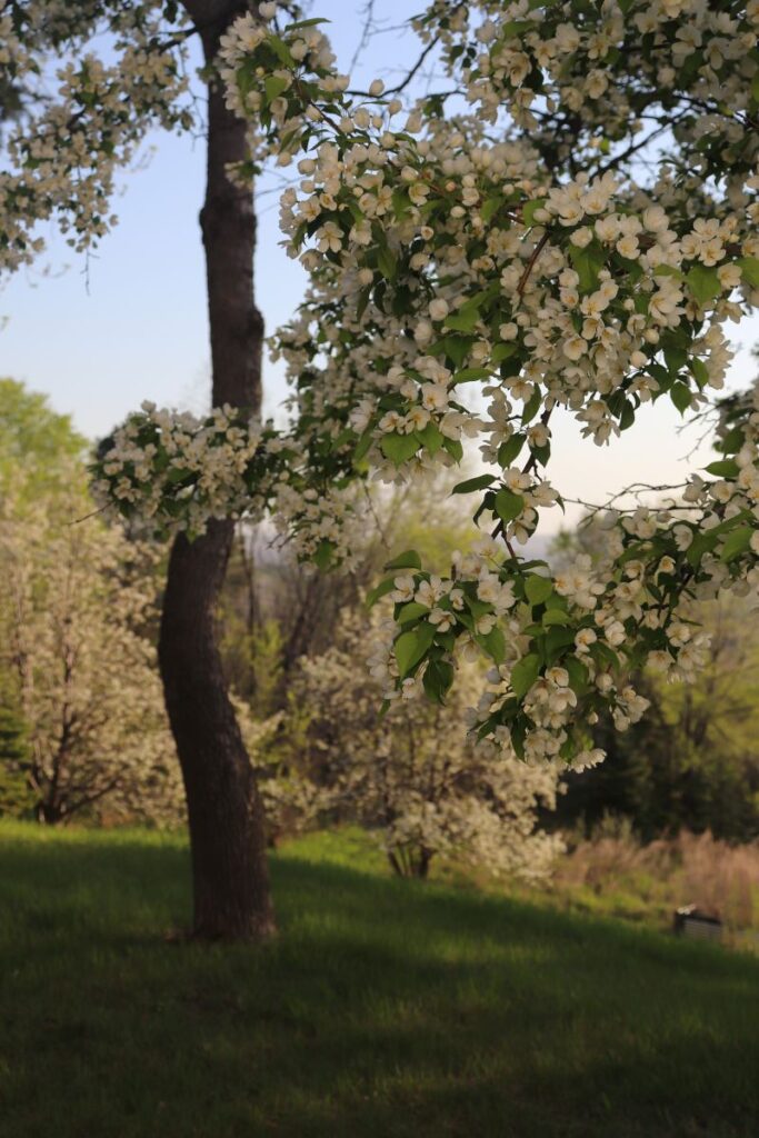 beautiful day in May