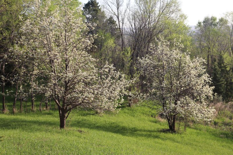 beautiful day in May